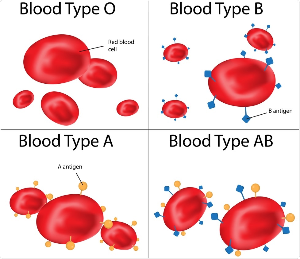 Likelihood of SARS-CoV-2 transmission may depend on blood type of spreader  and recipient