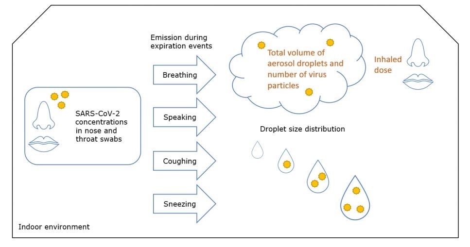 Overview of the processes modelled in this study.