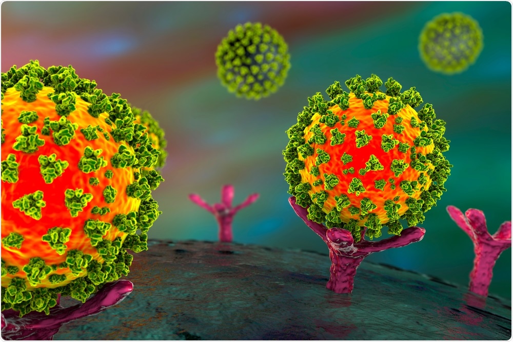 SARS-CoV-2 viruses binding to ACE-2 receptors on a human cell. Image Credit: Kateryna Kon / Shutterstock