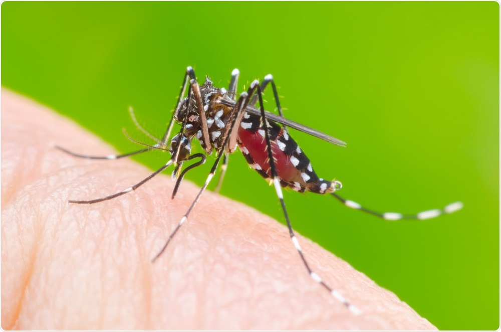 हरियाणा सरकार का फैसला डेंगू मरीजों को मिलेंंगी मुफ्त प्लेटलेट्स, ऐसे मिलेगा फायदा