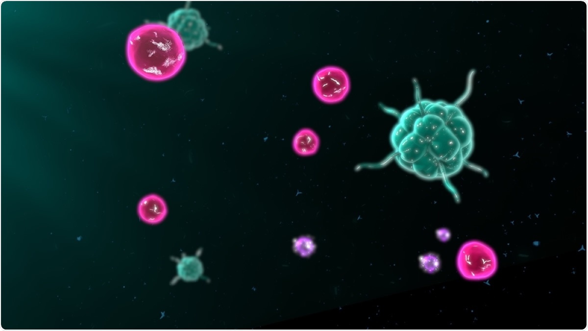 Activating T cells and B cells in immune system 3d illustration. Image Credit: Sciencepics / Shutterstock