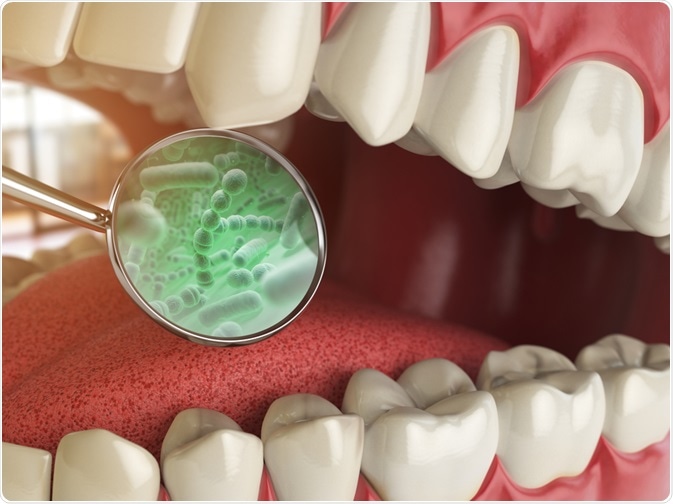 What Microorganisms Naturally Live in the Mouth?