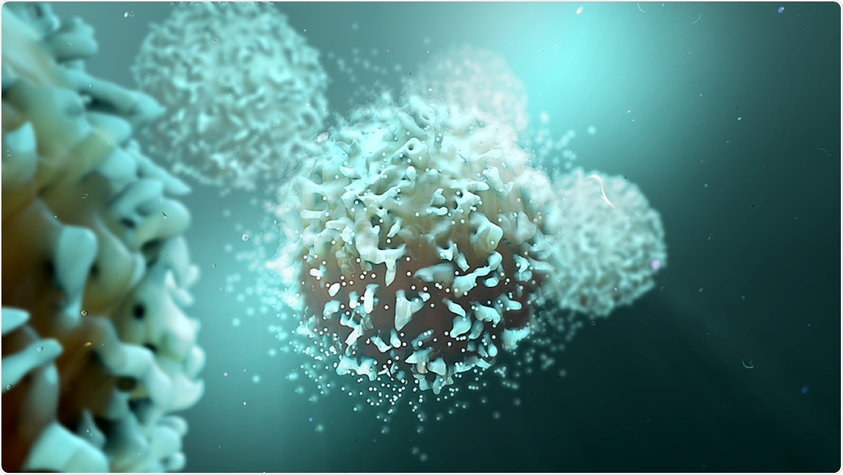 Study: T cell assays distinguish clinical and asymptomatic SARS-CoV-2 infections from cross-reactive antiviral responses. Image Credit: Design_Cells / Shutterstock