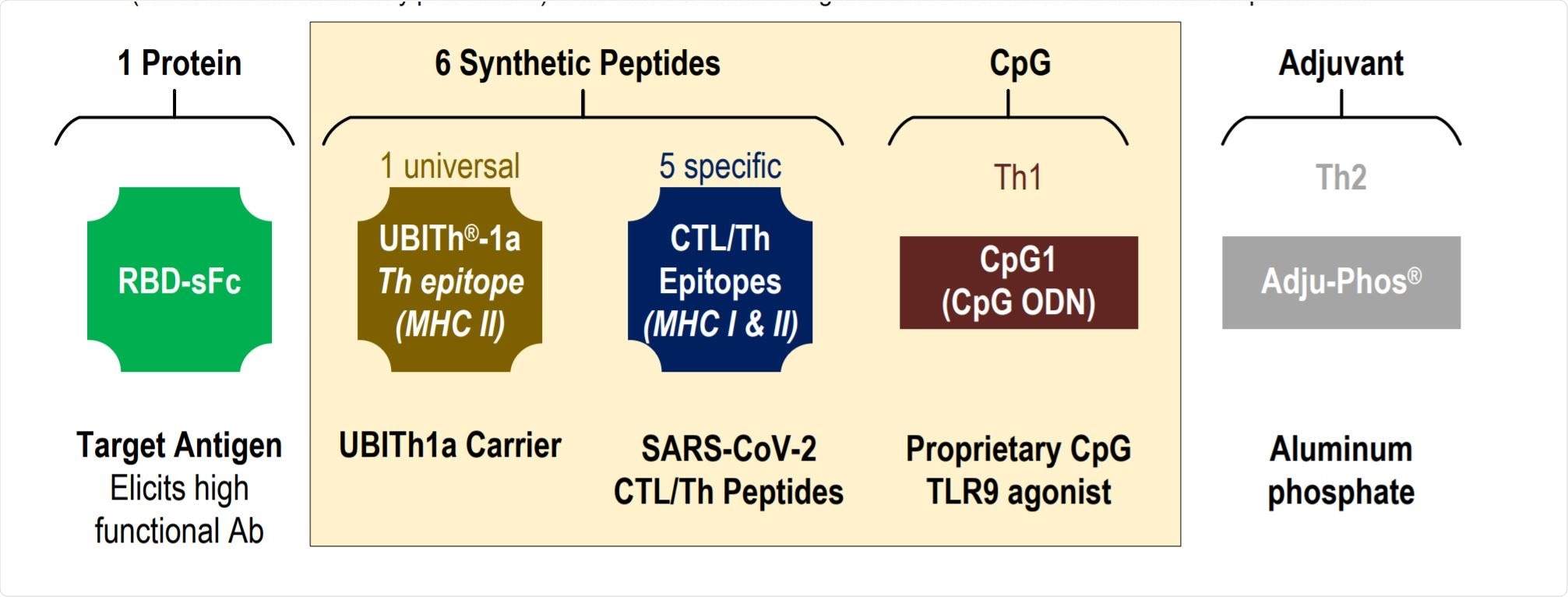 Ingredients for the UB-612 multi-tope vaccine.