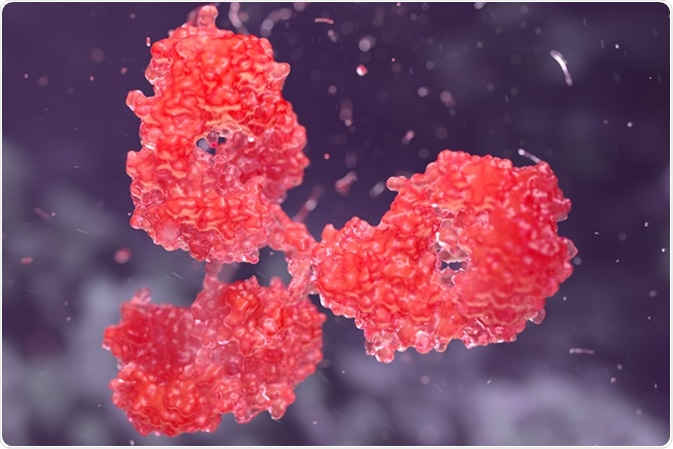 Human antibody molecule illustration. Credit: YuriiHrb / Shutterstock