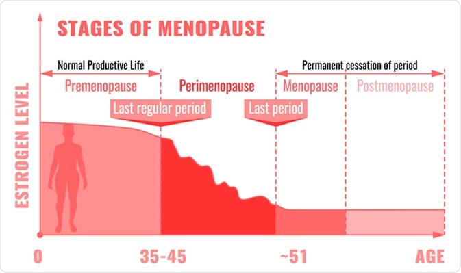 Stages and symptoms of menopause. Image Credit: Double Brain / Shutterstock