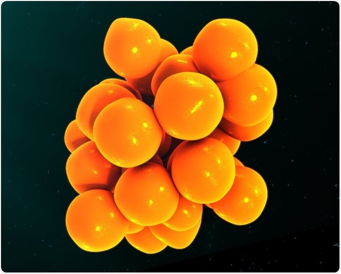 Cytokines 3d illustration. Image Credit: sciencepics / Shutterstock