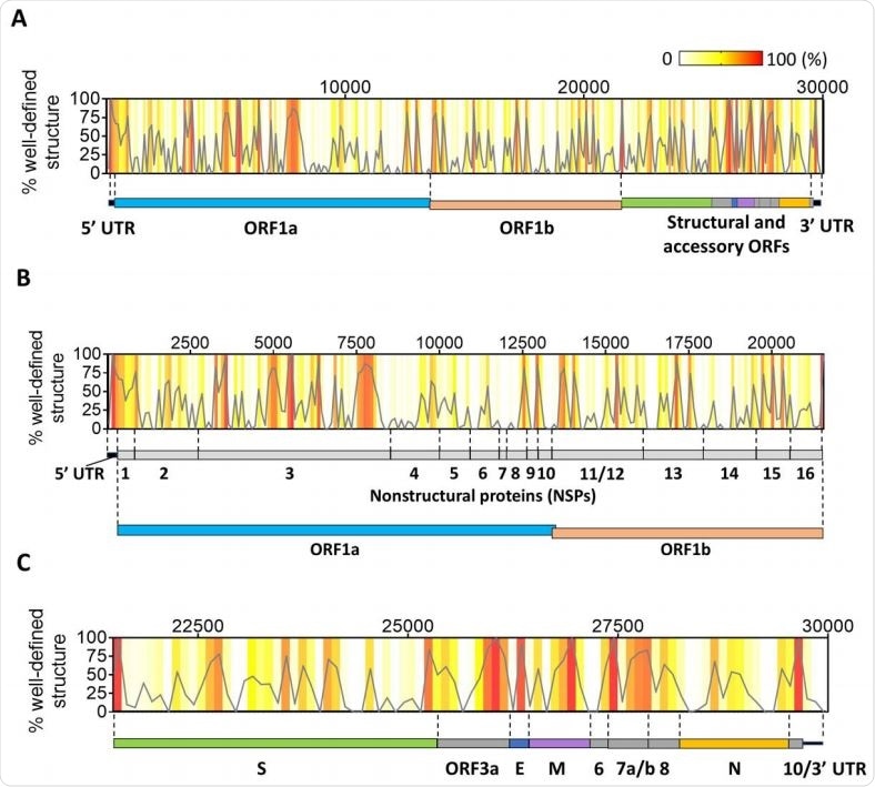 Distribution of well-defined RNA structures across the SARS-CoV-2 genome. (A) The percentage of nucleotides in well-defined structured regions (high BPC/low Shannon) was calculated in 100-nt bins tiling the genome and is plotted as a function of the genomic coordinate (gray curve). Individual percentages of each genomic bin are also represented as a heatmap in the same graph (color legend on the top right-hand corner). A scheme representing the genomic divisions of SARS-CoV-2 is shown next to the plot to guide location of structured regions. (B) An expanded view of the initial two-thirds of the genome from the graph in (A) is shown along with the genomic divisions of this region (UTR + ORF1ab and corresponding NSP divisions). (C) The downstream third of the genome is expanded from the graph in (A) to zoom in on individual structural and accessory ORFs in this region.