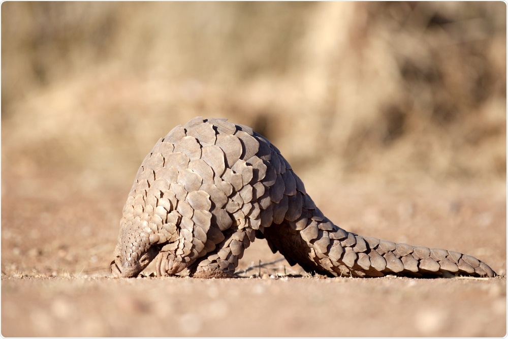 Study: Single source of Pangolin CoV with spike RBD almost identical to SARS-CoV-2.  Image credit: 2630ben / Shutterstock