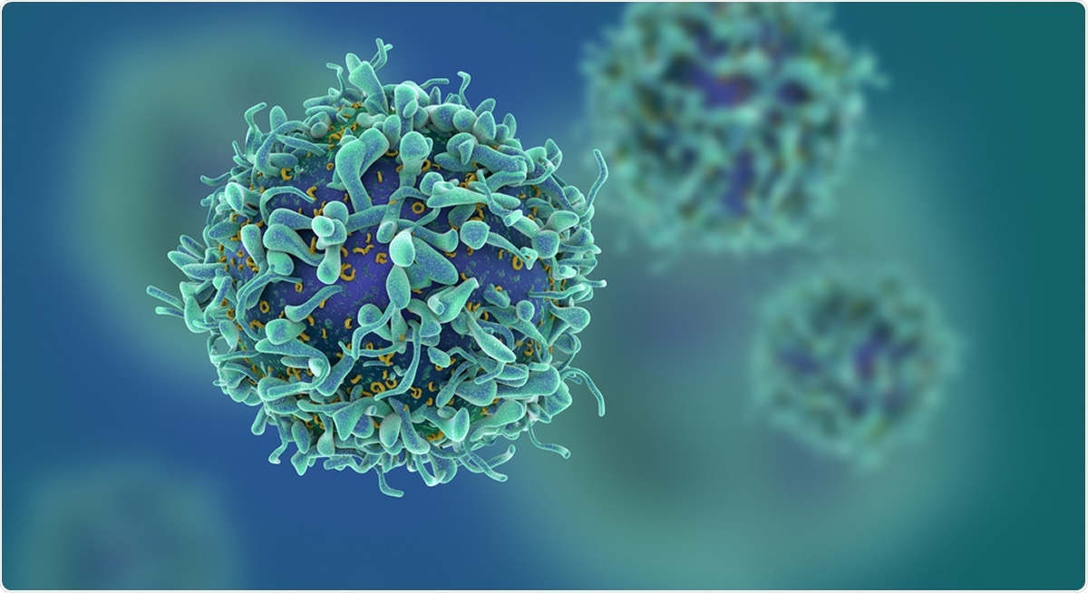Study: Suboptimal SARS-CoV-2-specific CD8+ T-cell response associated with the prominent HLA-A*02:01 phenotype. Image Credit: Fusebulb / Shutterstock