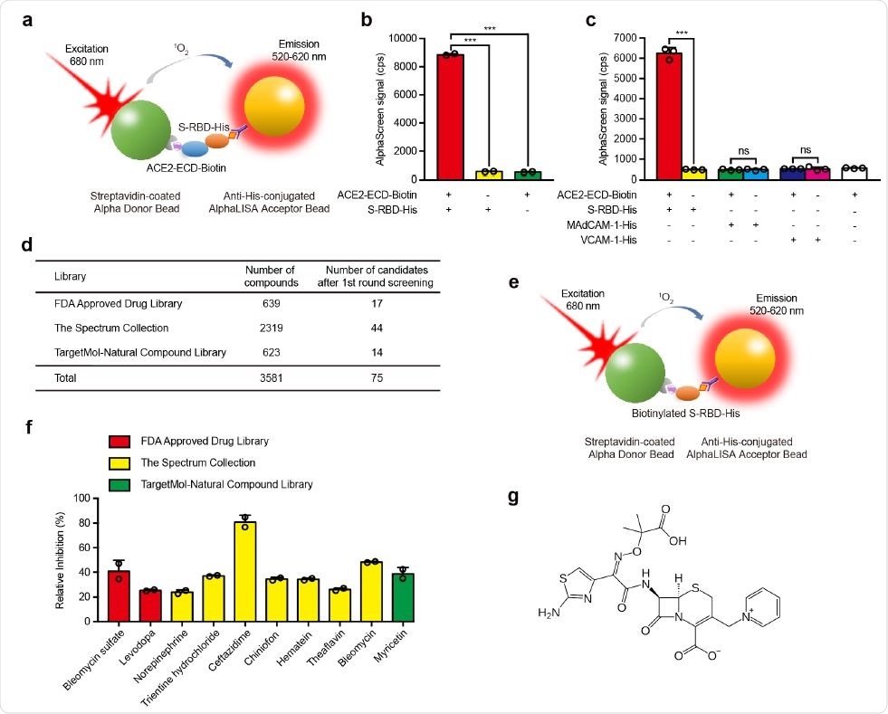 Screening of small molecule compounds that specifically block the interaction between S-RBD and ACE2. a, Schematic diagram of AlphaScreen system to detect the interaction between S-RBD and ACE2-ECD. The donor and acceptor beads are coated with streptavidin and anti-His monoclonal antibody, respectively. b, The interaction between S-RBD and ACE2-ECD was monitored using AlphaScreen 118 system. c, Comparison of the AlphaScreen signal of S-RBD-His, MAdCAM-1-His and VCAM-1-His proteins in the presence or not of ACE2-ECD-Biotin in AlphaScreen system. d, Libraries used in AlphaScreen-based high-throughput system and 75 candidates were identified from 3581 compounds in positive selection. The inhibition rate was calculated by the decrease of AlphaScreen signal of each compound compared with that of DMSO vehicle control group. e, Schematic diagram of negative selection using AlphaScreen system. Biotinylated S125 -His simultaneously links streptavidin-coated donor bead and anti-His-conjugated acceptor bead together to generate AlphaScreen signal directly. f, Relative inhibition of 10 candidate compounds on S-RBD–ACE2 interaction using AlphaScreen system. The relative inhibition rate was calculated by subtracting the inhibition rate in negative selection from that in positive selection. g, Molecular structure of ceftazidime. Screening of small molecule compounds that specifically block the interaction between S-RBD and ACE2. a, Schematic diagram of AlphaScreen system to detect the interaction between S-RBD and ACE2-ECD. The donor and acceptor beads are coated with streptavidin and anti-His monoclonal antibody, respectively. b, The interaction between S-RBD and ACE2-ECD was monitored using AlphaScreen 118 system. c, Comparison of the AlphaScreen signal of S-RBD-His, MAdCAM-1-His and VCAM-1-His proteins in the presence or not of ACE2-ECD-Biotin in AlphaScreen system. d, Libraries used in AlphaScreen-based high-throughput system and 75 candidates were identified from 3581 compounds in positive selection. The inhibition rate was calculated by the decrease of AlphaScreen signal of each compound compared with that of DMSO vehicle control group. e, Schematic diagram of negative selection using AlphaScreen system. Biotinylated S125 -His simultaneously links streptavidin-coated donor bead and anti-His-conjugated acceptor bead together to generate AlphaScreen signal directly. f, Relative inhibition of 10 candidate compounds on S-RBD–ACE2 interaction using AlphaScreen system. The relative inhibition rate was calculated by subtracting the inhibition rate in negative selection from that in positive selection. g, Molecular structure of ceftazidime.