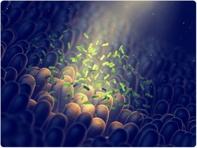 Intestinal bacteria 3d illustration. Credit: nobeastsofierce / Shutterstovk