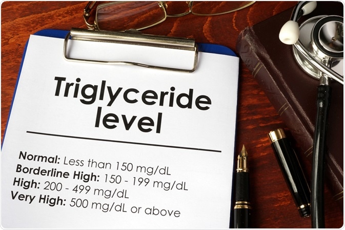 What Are Triglycerides