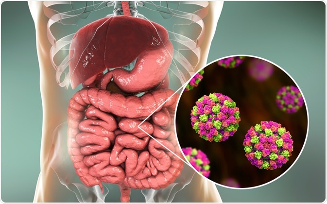 Transmissão de Norovirus