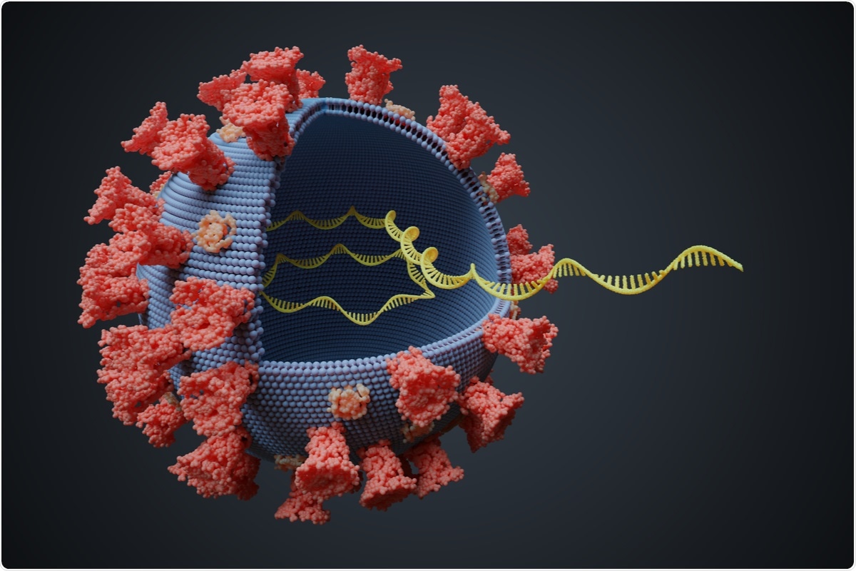 Study identifies key features in SARS-CoV-2 genome essential for  replication in respiratory cells