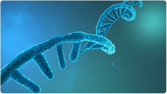 rna terapie anti-îmbătrânire