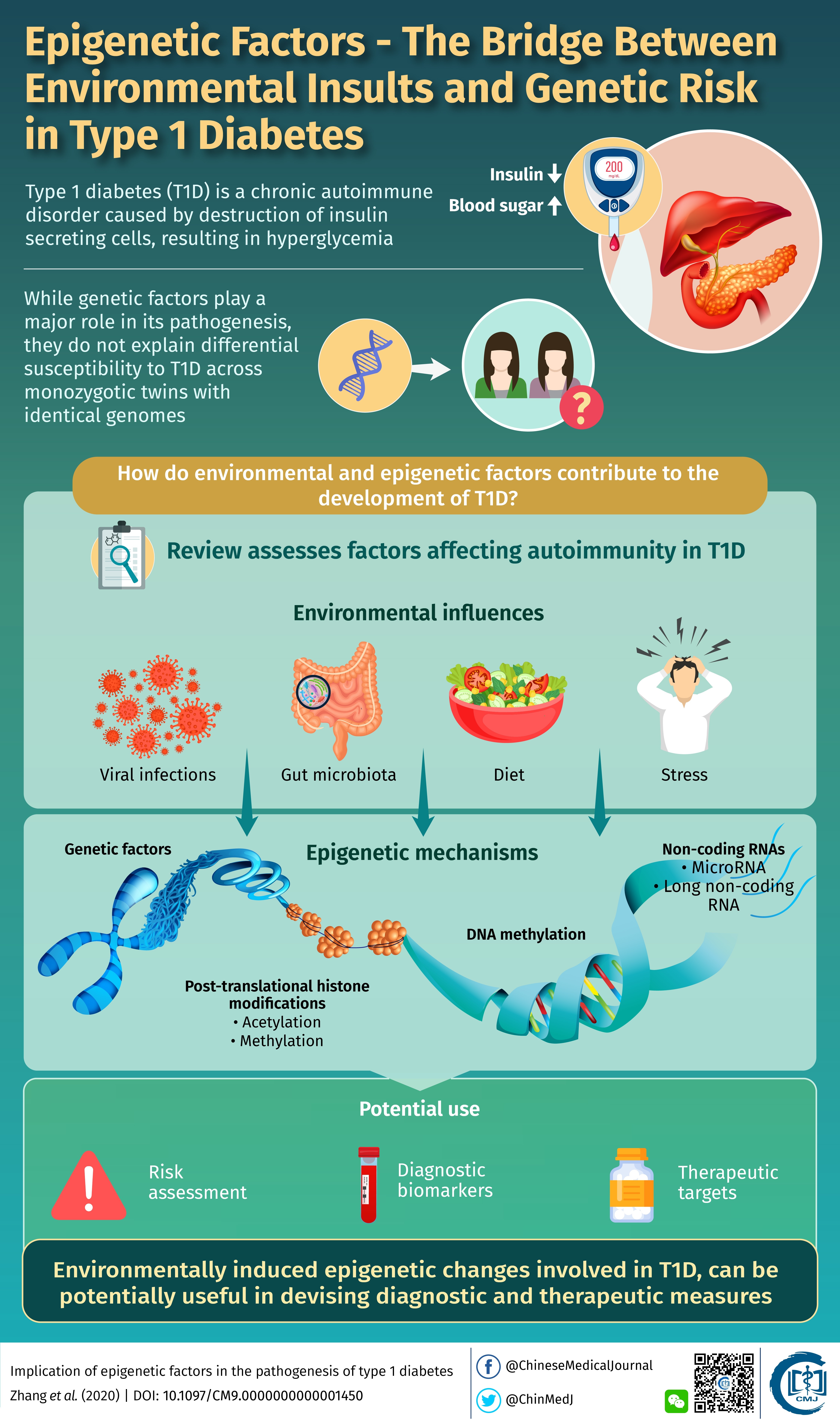 [Environmental factors and epidemiology of childhood type 1 diabetes]