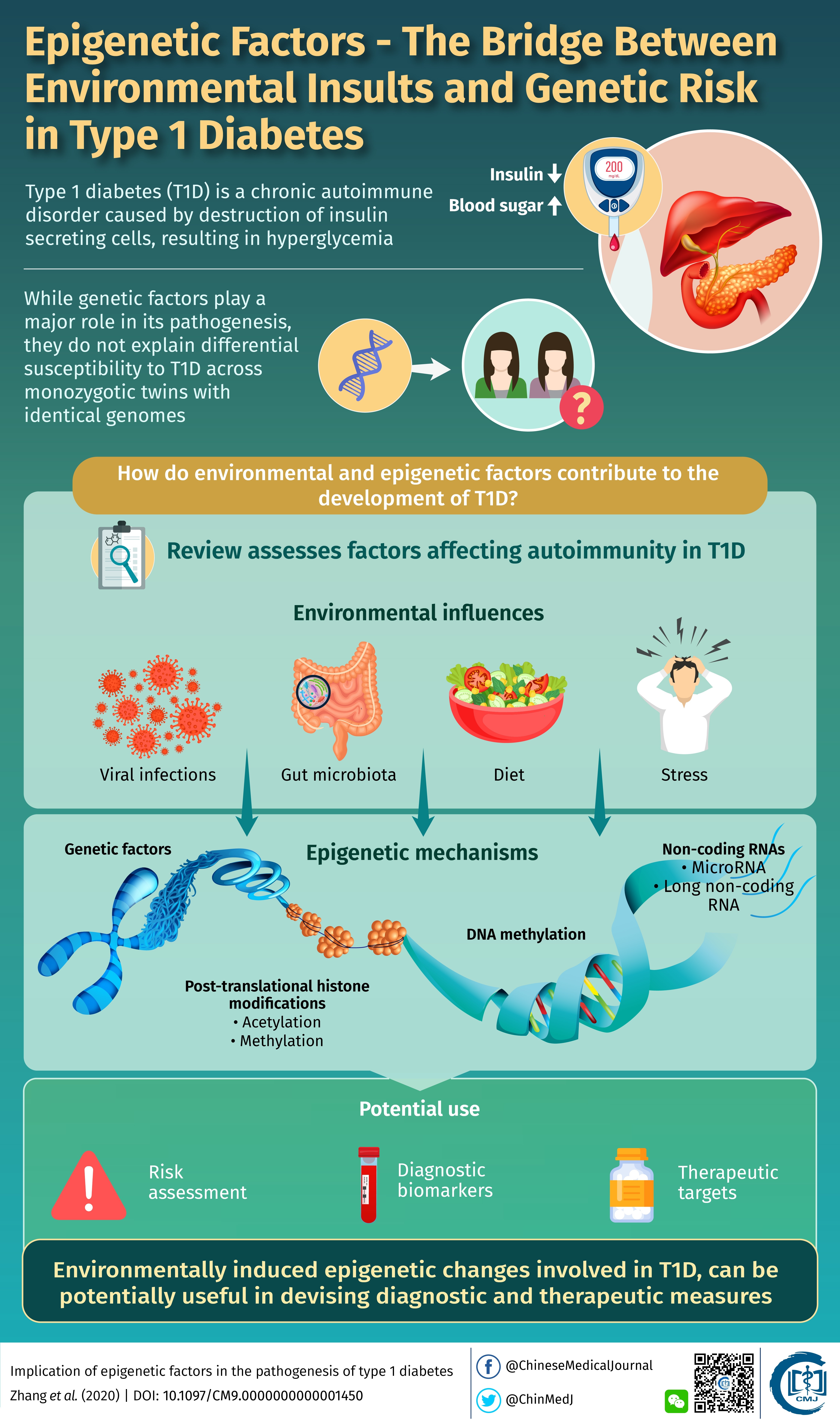 type 1 diabetes risk factors)