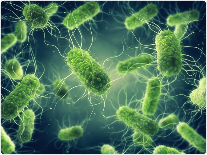 Use Of Physical Methods To Control Microorganisms