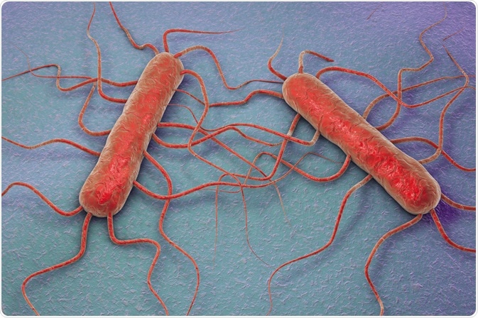 Listeria