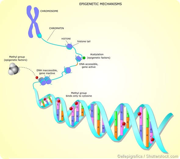 Role of DNA Methylation in Disease