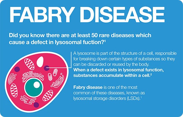 Image result for fabry disease