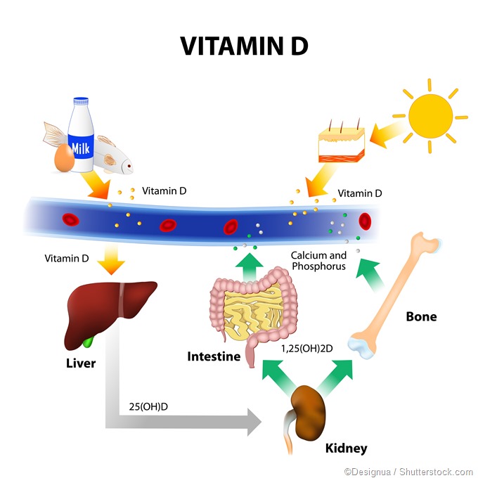 Rheumatoid Arthritis And Vitamin D