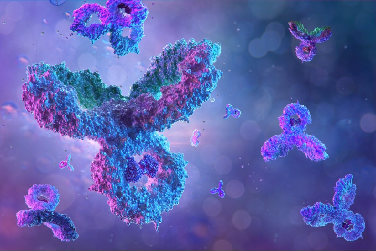 Primary and Secondary Antibodies: What's the Difference?