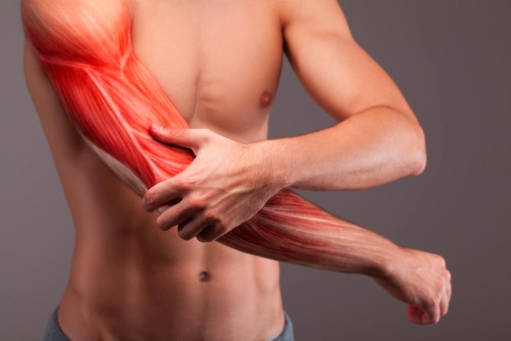 How Do Muscles Repair Themselves After Injury?