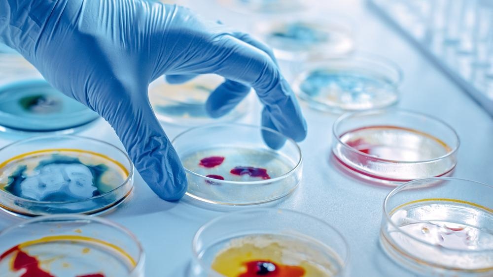 Biosafety in Microbiology Laboratories