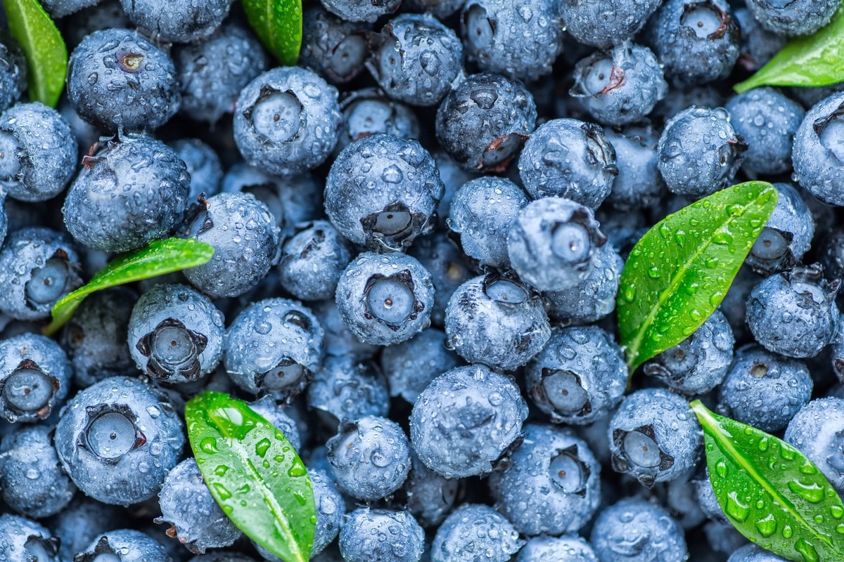 Blueberries - Best Fruits For A Strong Immune System