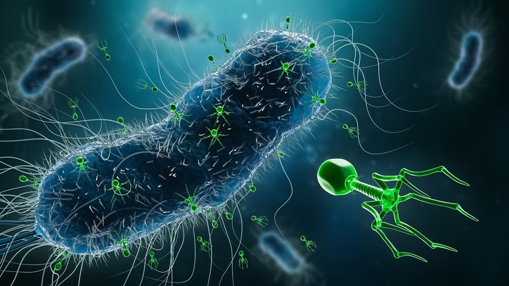 What is Bacteriophage Therapy?