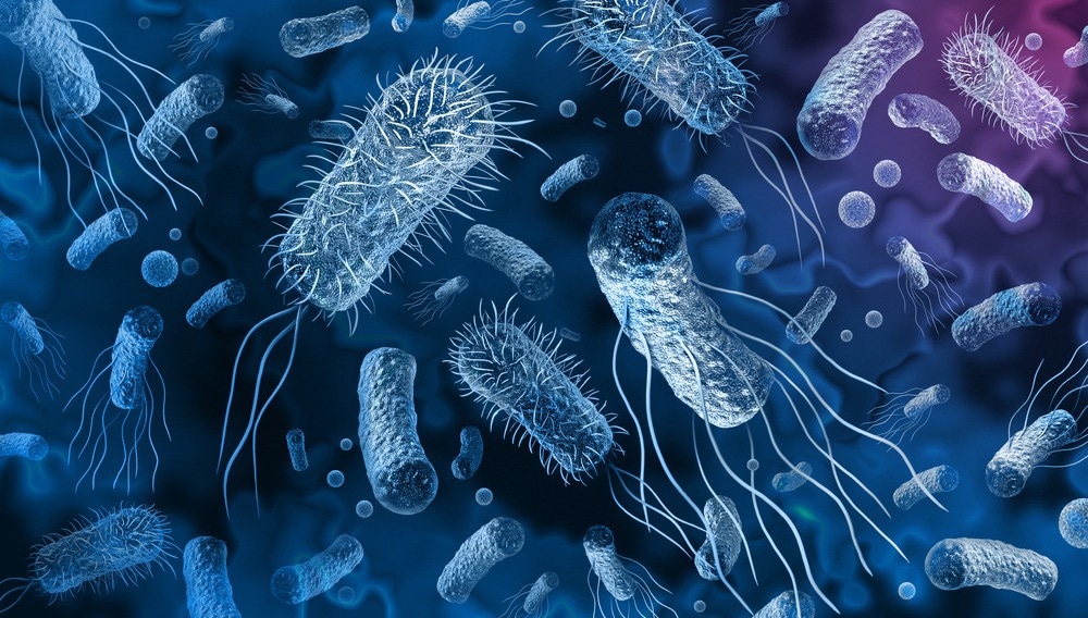 Applications of Bacterial Biopolymers in Biomedicine