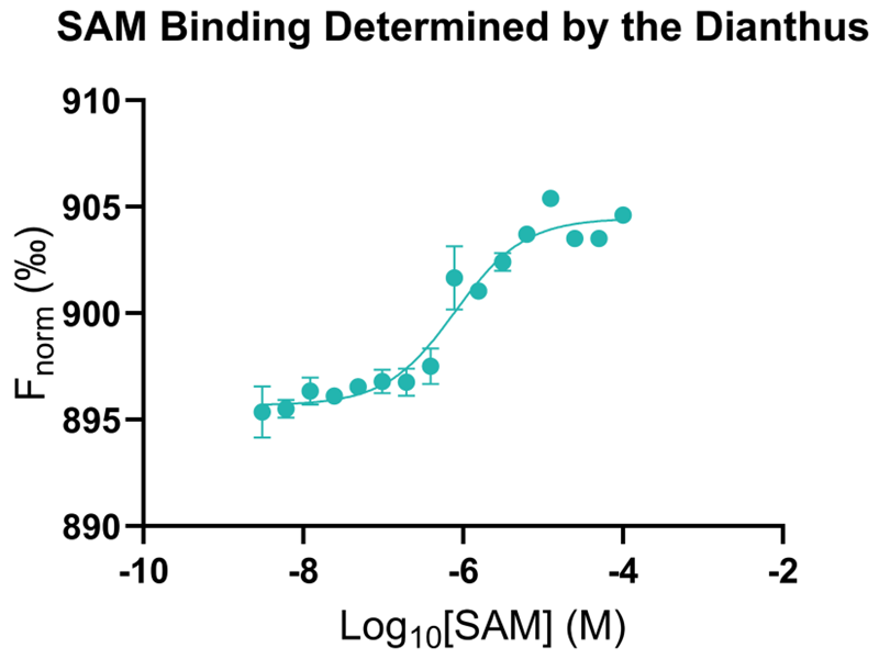 Targeting RNA with small molecules