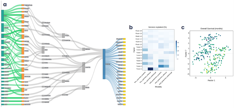 (a) Upstream plot created through the integration of ligand-receptor and transcription factor activity analysis, based on prior knowledge networks, and filtered for cell type context. (b) Heatmap from multi-omics factor analysis showing the contribution of each data modality to the final latent factors. (c) Scatterplot from the same analysis showing how two multi-omic factors segregated patients by overall survival in a cancer clinical study