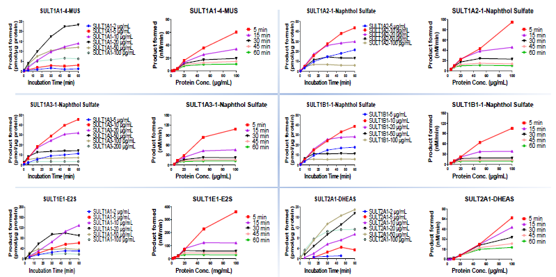 Comprehensive analysis of sulfotransferase activity using LC-MS/MS