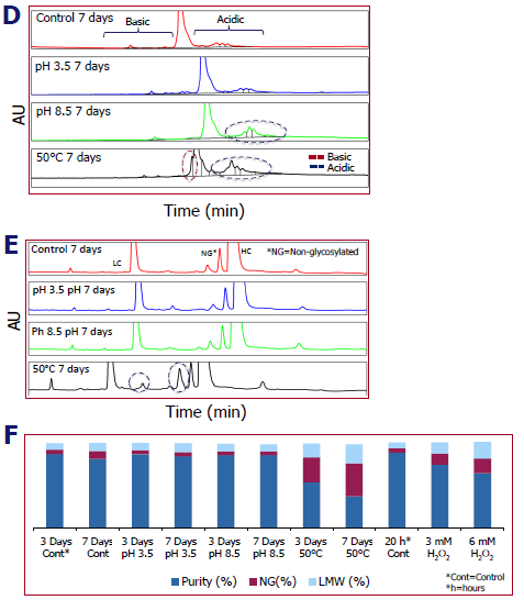 Building a comprehensive analytical toolbox for mAb CQA assessment