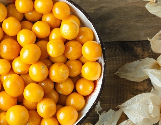 Golden Berry (Physalis peruviana): Anti-Inflammatory Properties and Emerging Evidence for Metabolic Health