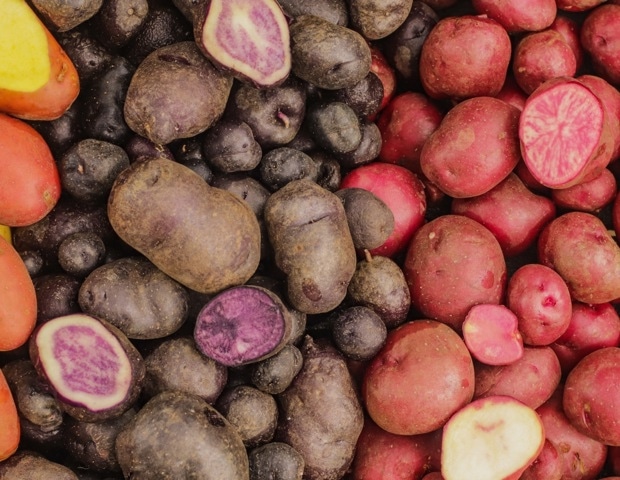 Nutritional Benefits of Colored Potatoes for Heart and Metabolic Health