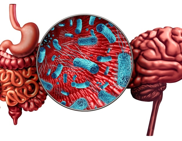 The Gut–Brain–Skin Axis: How Diet and Gut Health Influence Mood, Skin, and Aging
