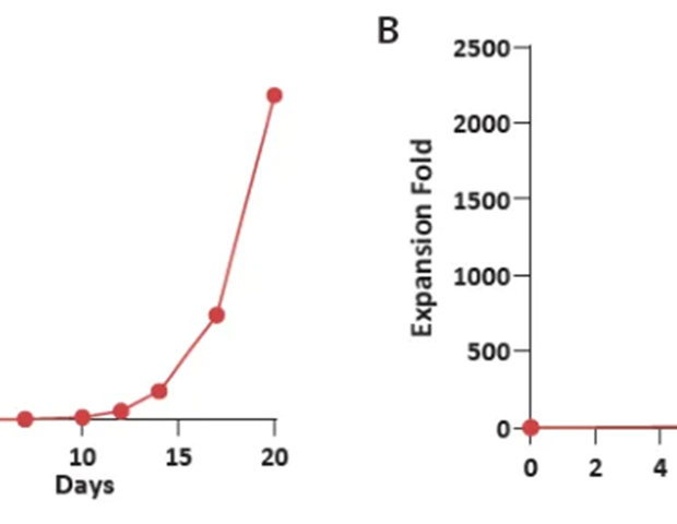 Flexible cell media to support diverse immune cell subpopulations