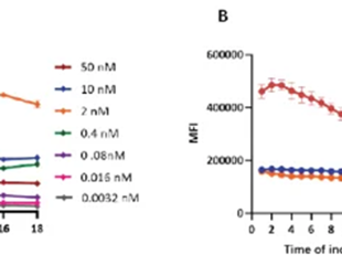 Applying pH-sensitive fluorescent dyes to monitor ADC internalization kinetics