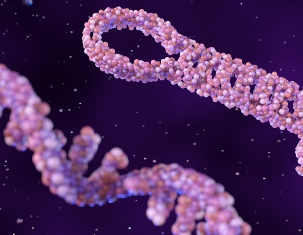 What Is the Difference Between siRNA and shRNA Knockdown Methods?