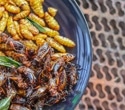 Edible Insects as Food: Nutritional Benefits, Safety, and Environmental Impact