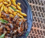 Edible Insects as Food: Nutritional Benefits, Safety, and Environmental Impact