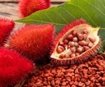 What Are Annatto Seeds? Uses, Health Effects, and Scientific Evidence