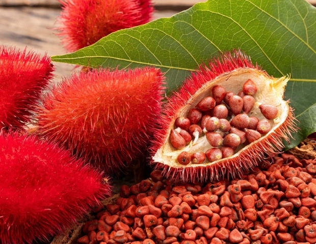 What Are Annatto Seeds? Uses, Health Effects, and Scientific Evidence