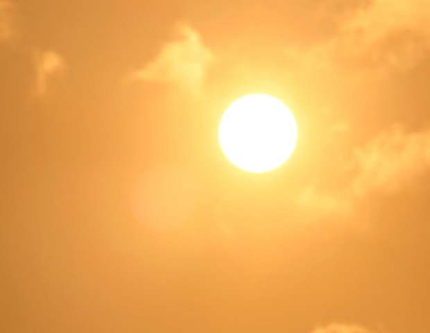 How Heat Stress Affects the Human Body at the Cellular Level