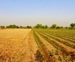 Can Climate-Resilient Crops Improve Human Nutrition?