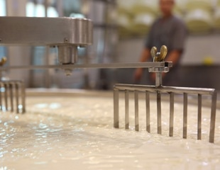 Are Precision-Fermented Fats Healthier Than Traditional Dairy Fat?